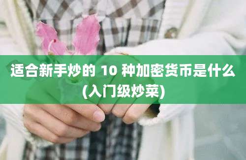 适合新手炒的 10 种加密货币是什么(入门级炒菜)