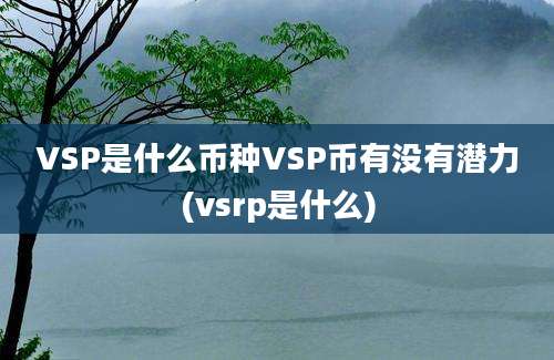 VSP是什么币种VSP币有没有潜力(vsrp是什么)