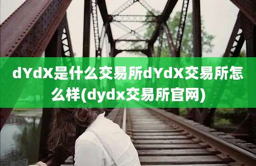 dYdX是什么交易所dYdX交易所怎么样(dydx交易所官网)