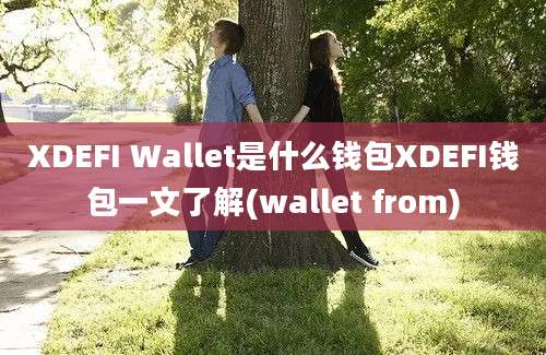 XDEFI Wallet是什么钱包XDEFI钱包一文了解(wallet from)