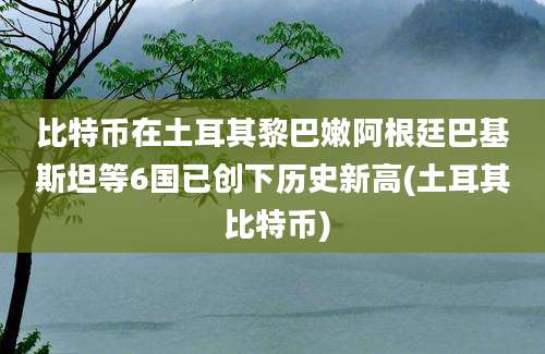 比特币在土耳其黎巴嫩阿根廷巴基斯坦等6国已创下历史新高(土耳其 比特币)