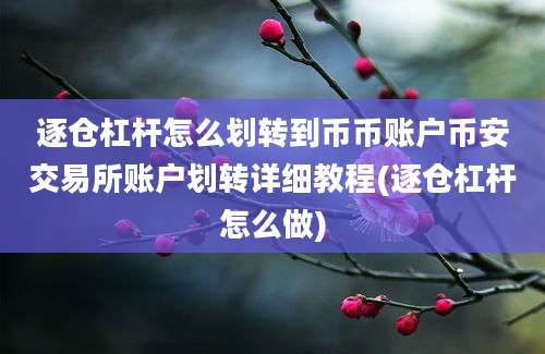 逐仓杠杆怎么划转到币币账户币安交易所账户划转详细教程(逐仓杠杆怎么做)