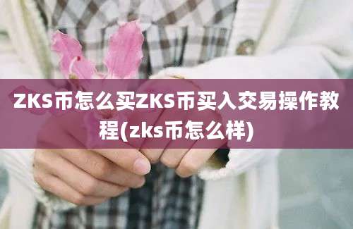 ZKS币怎么买ZKS币买入交易操作教程(zks币怎么样)