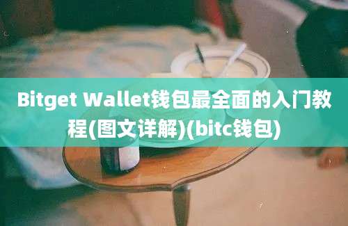 Bitget Wallet钱包最全面的入门教程(图文详解)(bitc钱包)