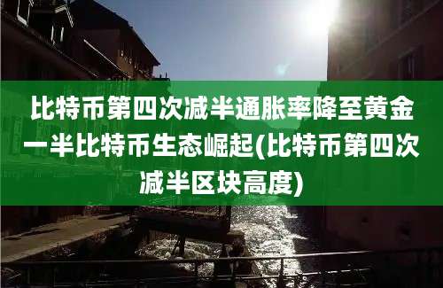 比特币第四次减半通胀率降至黄金一半比特币生态崛起(比特币第四次减半区块高度)