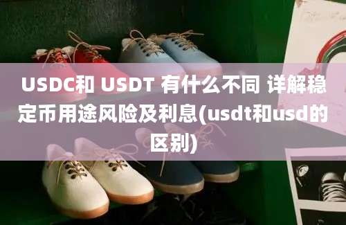 USDC和 USDT 有什么不同 详解稳定币用途风险及利息(usdt和usd的区别)