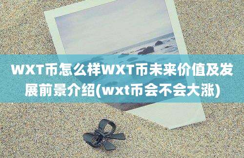 WXT币怎么样WXT币未来价值及发展前景介绍(wxt币会不会大涨)