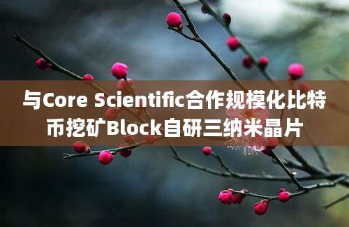 与Core Scientific合作规模化比特币挖矿Block自研三纳米晶片