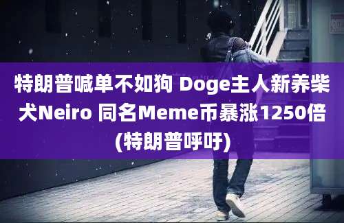 特朗普喊单不如狗 Doge主人新养柴犬Neiro 同名Meme币暴涨1250倍(特朗普呼吁)