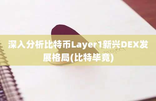 深入分析比特币Layer1新兴DEX发展格局(比特毕竟)