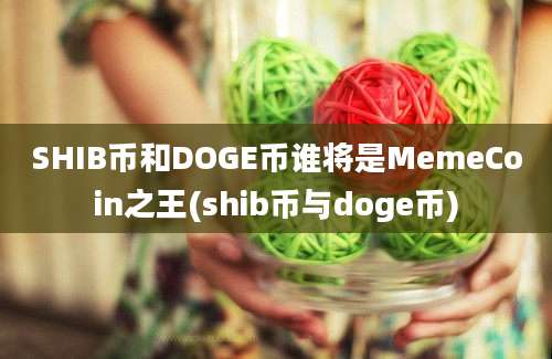 SHIB币和DOGE币谁将是MemeCoin之王(shib币与doge币)