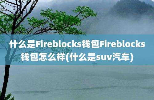 什么是Fireblocks钱包Fireblocks钱包怎么样(什么是suv汽车)