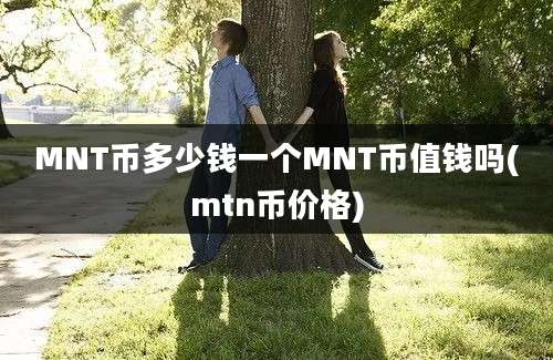 MNT币多少钱一个MNT币值钱吗(mtn币价格)