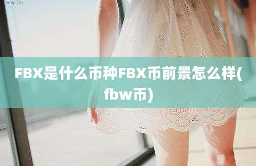 FBX是什么币种FBX币前景怎么样(fbw币)