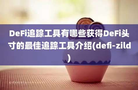 DeFi追踪工具有哪些获得DeFi头寸的最佳追踪工具介绍(defi-zild)