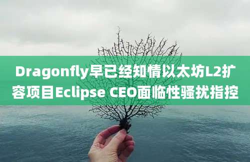 Dragonfly早已经知情以太坊L2扩容项目Eclipse CEO面临性骚扰指控