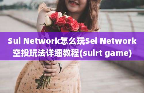 Sui Network怎么玩Sei Network空投玩法详细教程(suirt game)