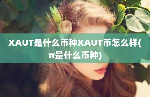 XAUT是什么币种XAUT币怎么样(π是什么币种)