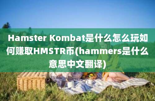 Hamster Kombat是什么怎么玩如何赚取HMSTR币(hammers是什么意思中文翻译)