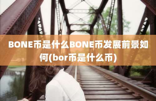 BONE币是什么BONE币发展前景如何(bor币是什么币)