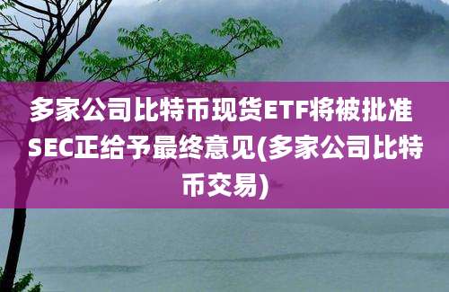 多家公司比特币现货ETF将被批准 SEC正给予最终意见(多家公司比特币交易)