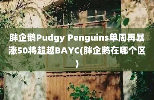 胖企鹅Pudgy Penguins单周再暴涨50将超越BAYC(胖企鹅在哪个区)