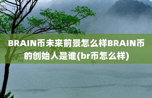 BRAIN币未来前景怎么样BRAIN币的创始人是谁(br币怎么样)