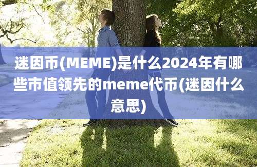 迷因币(MEME)是什么2024年有哪些市值领先的meme代币(迷因什么意思)