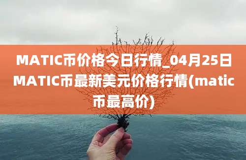 MATIC币价格今日行情_04月25日MATIC币最新美元价格行情(matic币最高价)