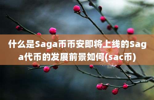 什么是Saga币币安即将上线的Saga代币的发展前景如何(sac币)