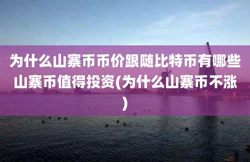 为什么山寨币币价跟随比特币有哪些山寨币值得投资(为什么山寨币不涨)