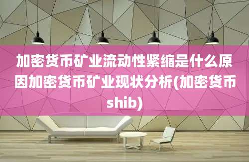 加密货币矿业流动性紧缩是什么原因加密货币矿业现状分析(加密货币shib)