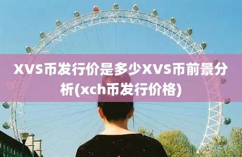 XVS币发行价是多少XVS币前景分析(xch币发行价格)