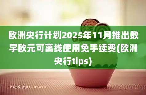 欧洲央行计划2025年11月推出数字欧元可离线使用免手续费(欧洲央行tips)