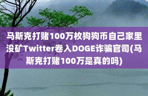 马斯克打赌100万枚狗狗币自己家里没矿Twitter卷入DOGE诈骗官司(马斯克打赌100万是真的吗)