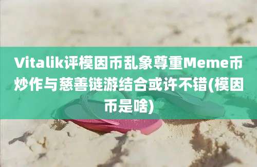 Vitalik评模因币乱象尊重Meme币炒作与慈善链游结合或许不错(模因币是啥)