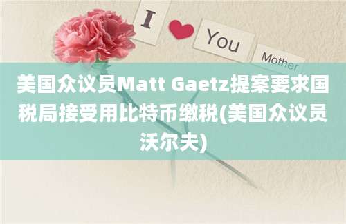 美国众议员Matt Gaetz提案要求国税局接受用比特币缴税(美国众议员沃尔夫)