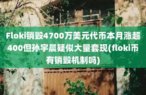 Floki销毁4700万美元代币本月涨超400但孙宇晨疑似大量套现(floki币有销毁机制吗)