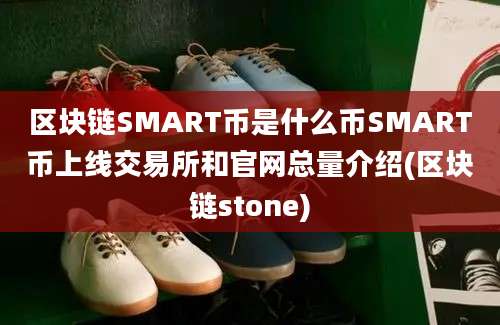 区块链SMART币是什么币SMART币上线交易所和官网总量介绍(区块链stone)