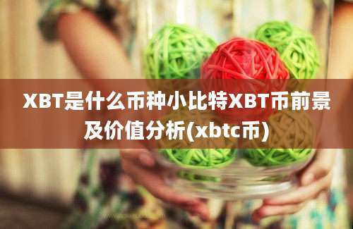 XBT是什么币种小比特XBT币前景及价值分析(xbtc币)