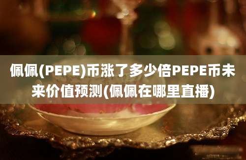 佩佩(PEPE)币涨了多少倍PEPE币未来价值预测(佩佩在哪里直播)