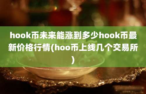 hook币未来能涨到多少hook币最新价格行情(hoo币上线几个交易所)