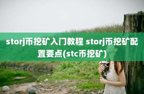 storj币挖矿入门教程 storj币挖矿配置要点(stc币挖矿)