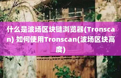 什么是波场区块链浏览器(Tronscan) 如何使用Tronscan(波场区块高度)