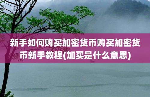 新手如何购买加密货币购买加密货币新手教程(加买是什么意思)