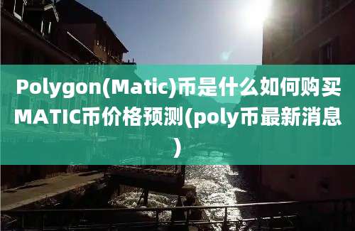 Polygon(Matic)币是什么如何购买MATIC币价格预测(poly币最新消息)