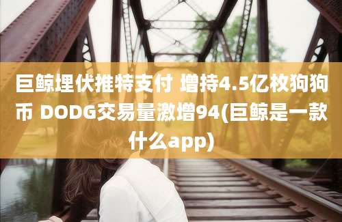 巨鲸埋伏推特支付 增持4.5亿枚狗狗币 DODG交易量激增94(巨鲸是一款什么app)