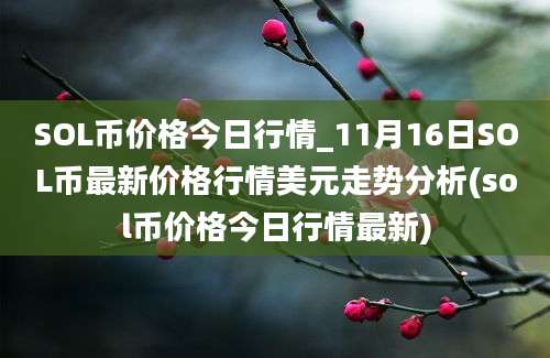 SOL币价格今日行情_11月16日SOL币最新价格行情美元走势分析(sol币价格今日行情最新)