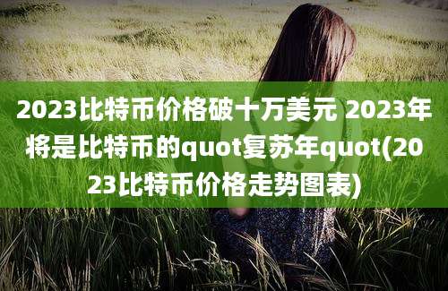 2023比特币价格破十万美元 2023年将是比特币的quot复苏年quot(2023比特币价格走势图表)