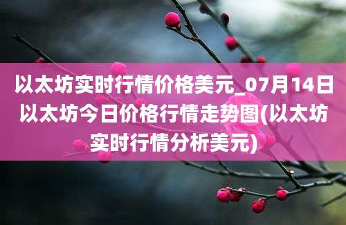 以太坊实时行情价格美元_07月14日以太坊今日价格行情走势图(以太坊实时行情分析美元)